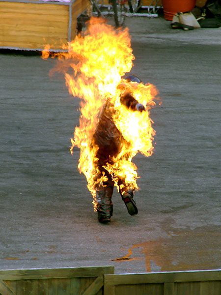 5bed19029d9355.36719344