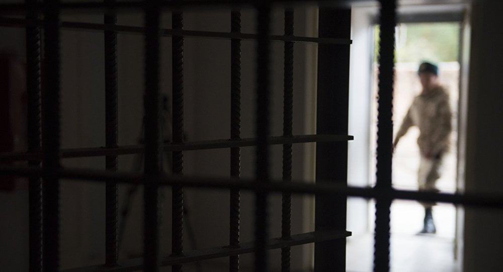 Համաներմամբ ազատ արձակվածը գողություն է կատարել