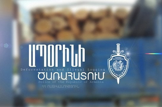 Մեքենայի թափքում ծառերի կոճղեր են հայտնաբերվել