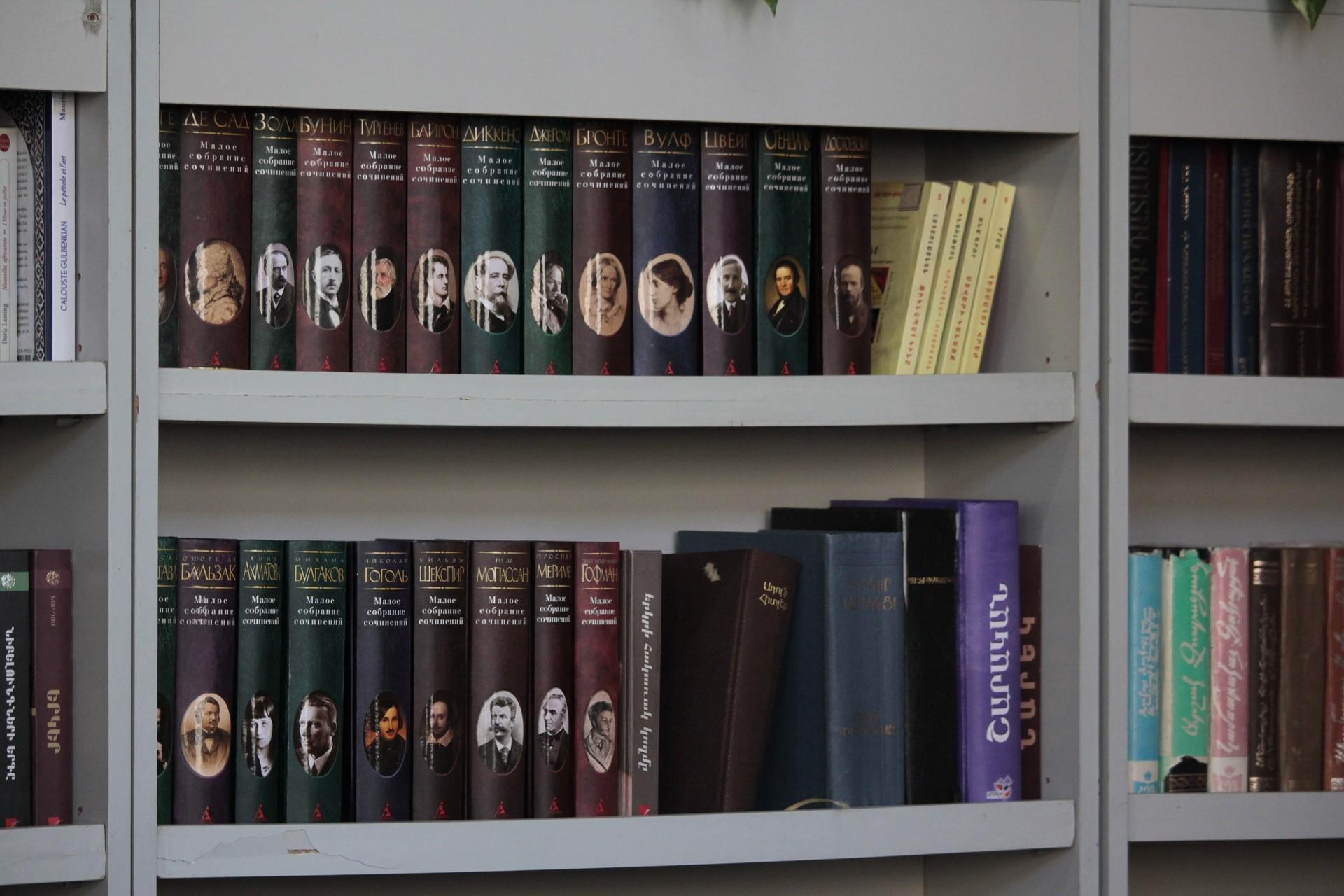 Գրադարանային ոլորտը ձախողված է․ հարյուրավոր գրադարաններ փակվել են