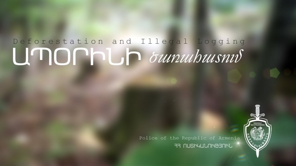 Ապօրինի ծառահատում Մարգահովիտ գյուղի հարակից անտառում