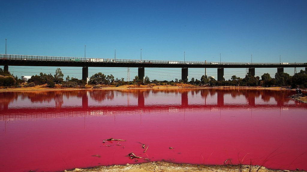Ավստրալիայում վարդագույն լիճ է գոյացել