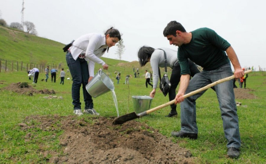 Ապրիլի 13-ը՝ համաքաղաքային ծառատունկի օր
