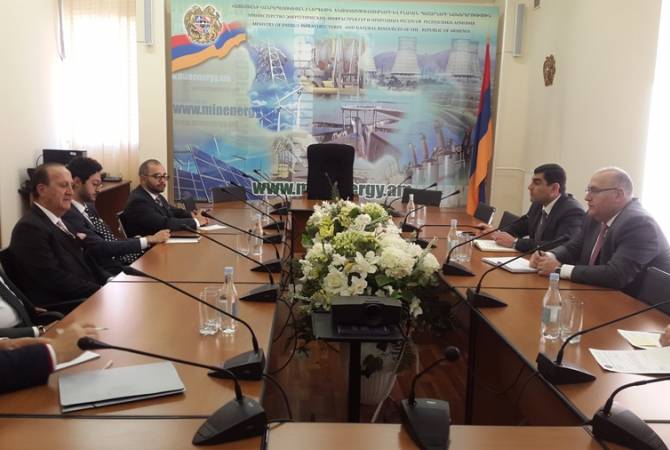 Սփյուռքահայ գործարարների հետ քննարկվել են էներգետիկայի բնագավառում ներդրումային հնարավորությունները