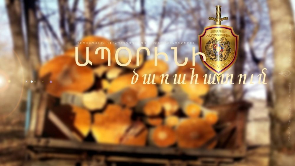 Ապօրինի ծառահատման դեպք Փամբակ գյուղին հարակից անտառից