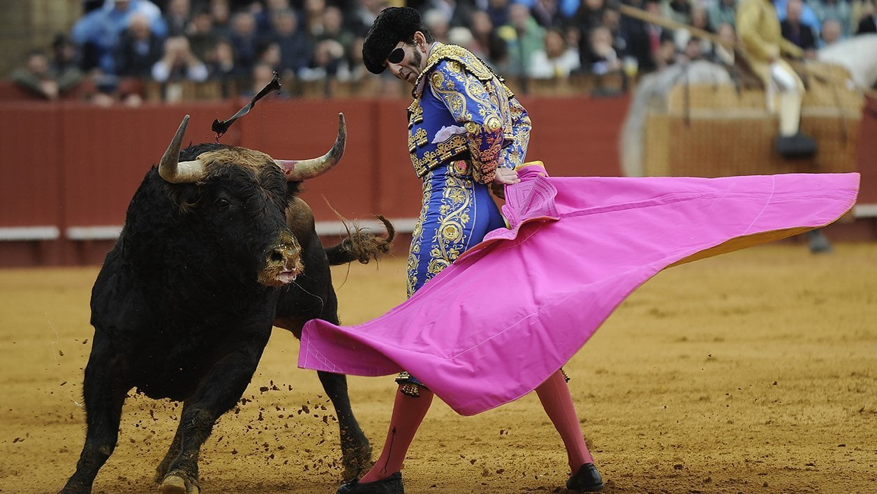 Ֆրանսիայում ցուլը հարձակվել է մարդկանց բազմության վրա