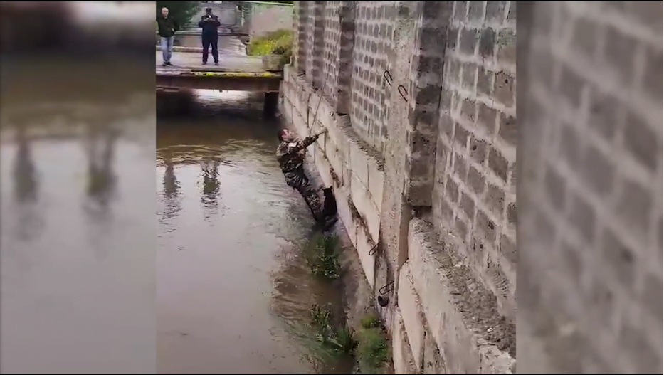 Փրկարարները շանը դուրս են բերել ջրանցքից (ՏԵՍԱՆՅՈՒԹ)