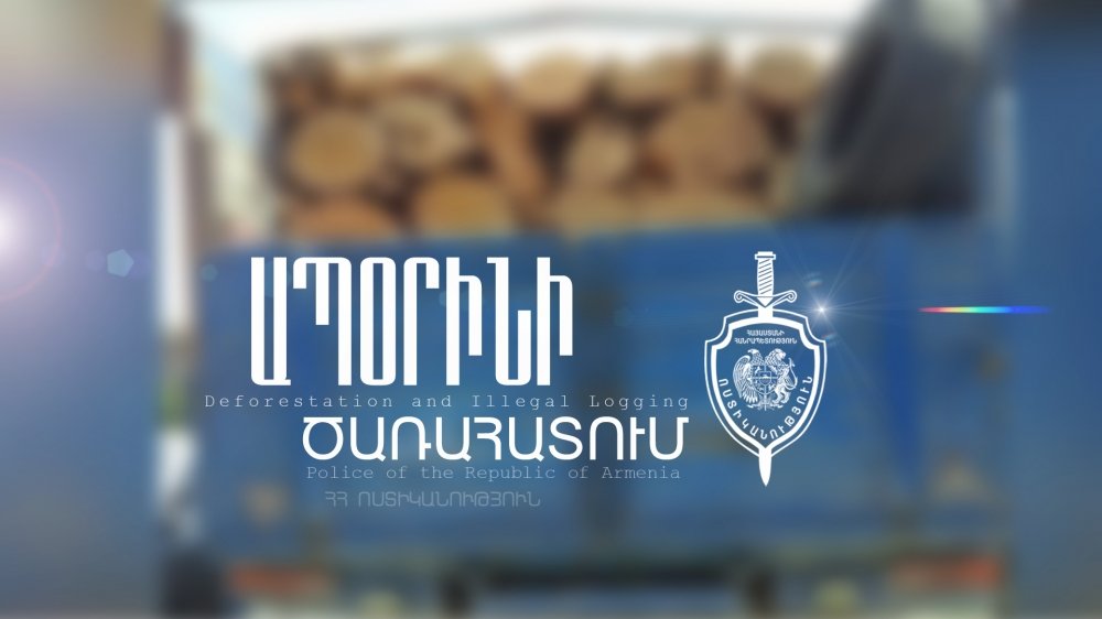 Հայտնաբերված փայտանյութի ձեռքբերման համապատասխան փաստաթուղթը չի ներկայացվել․ Նշանակվել է մասնագիտական ստուգում