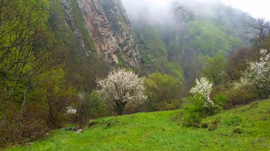«Արևիկ» ազգային պարկի հատուկ պահպանվող տարածքում ապօրինի ընդերքօգտագործմամբ ոսկու հանքանյութ է արդյունահանվել