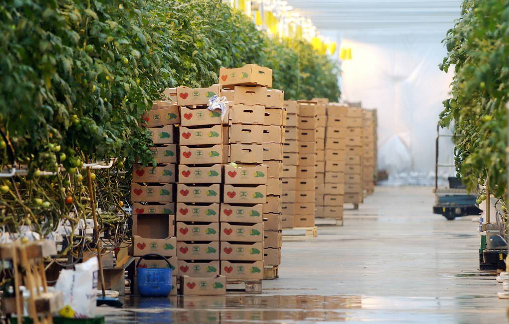 Որ ապրանքների մաքսատուրքերն են բարձրացել