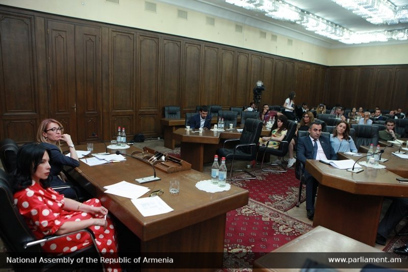 Քննարկվել է մարդու իրավունքների պաշտպանի աշխատակազմի 2018 թ. եկամուտների և ծախսերի կատարողականը