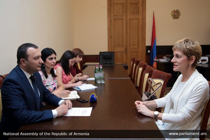 Վահե Էնֆիաջյանն ընդունել է Հայաստանում Բուլղարիայի դեսպանին