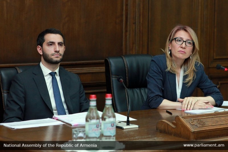 ԱԺ-ում անդրադարձել են արտաքին ոլորտի հատկացումների նախորդ տարվա կատարողական ցուցանիշներին