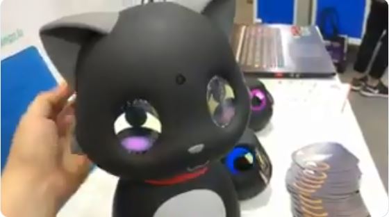 Չինաստանում ստեղծվել է առաջին ռոբոտ կատուն