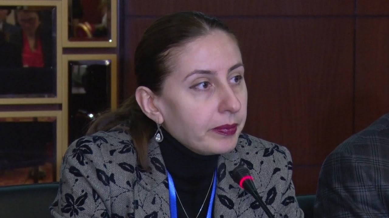 Վենետիկի հանձնաժողովի Հայաստանի անդամները անկախ չեն․ «Իրավունքի Եվրոպա» ՀԿ-ի ներկայացուցիչ