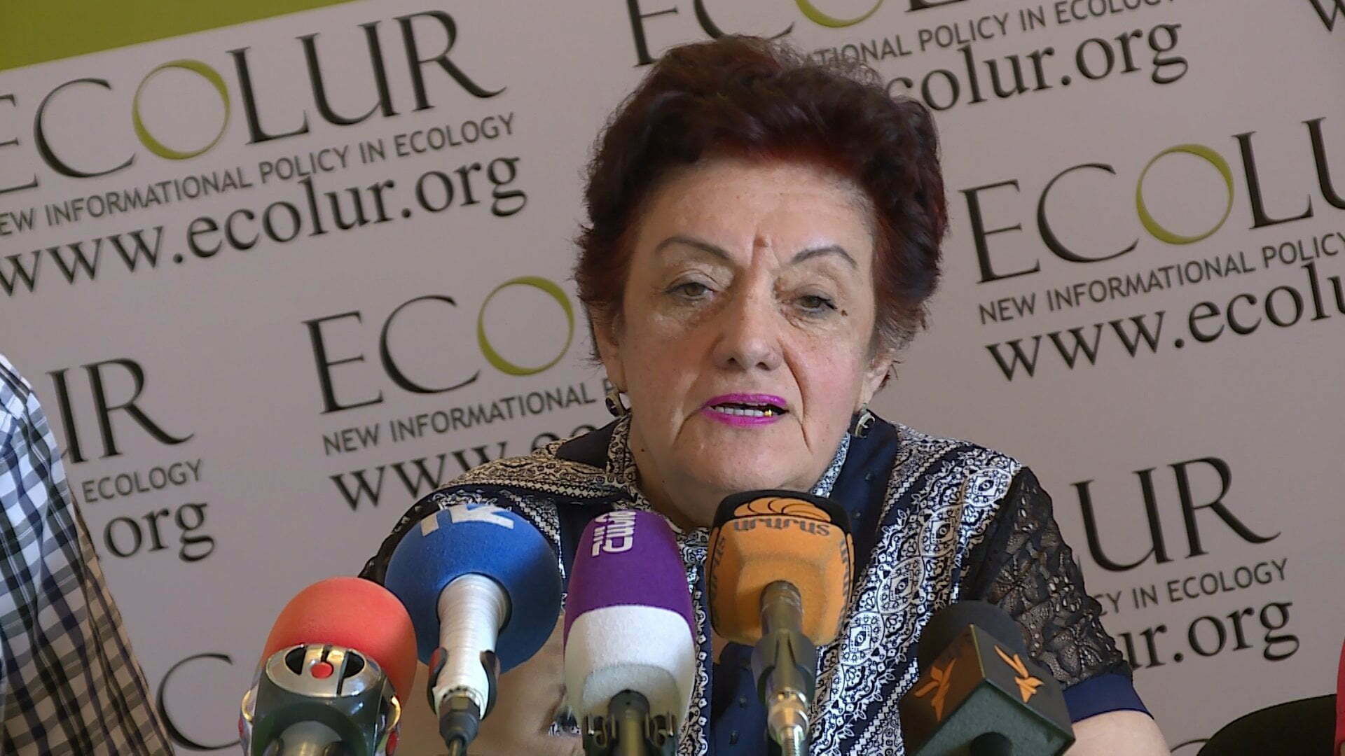 Հայաստանը էկոլոգիական ճգնաժամի մեջ է․ բնապահպան