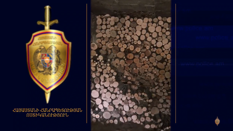 Բացահայտվել է ապօրինի ծառահատման դեպք Լոռիում (ՏԵՍԱՆՅՈւԹ)