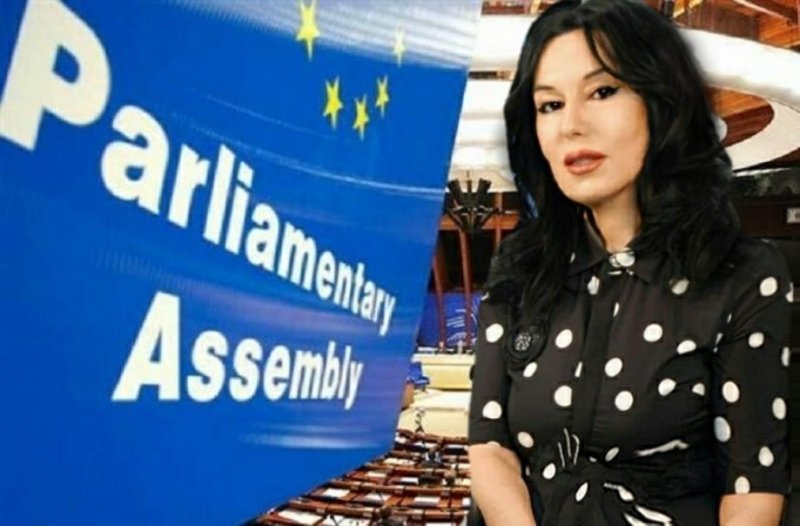 Մի՛ անտեսեք Արցախում տեղի ունեցող ժողովրդավարական գործընթացները․ Նաիրա Զոհրաբյանի ելույթը ԵԽԽՎ-ում