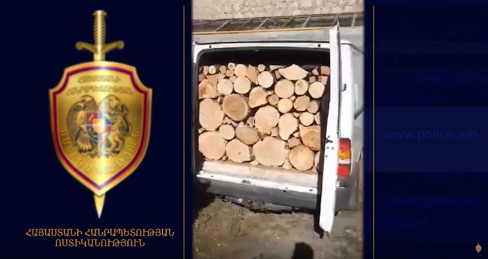 Ճամբարակի ոստիկանները ապօրինի ծառահատման դեպք են բացահայտել (ՏԵՍԱՆՅՈւԹ)