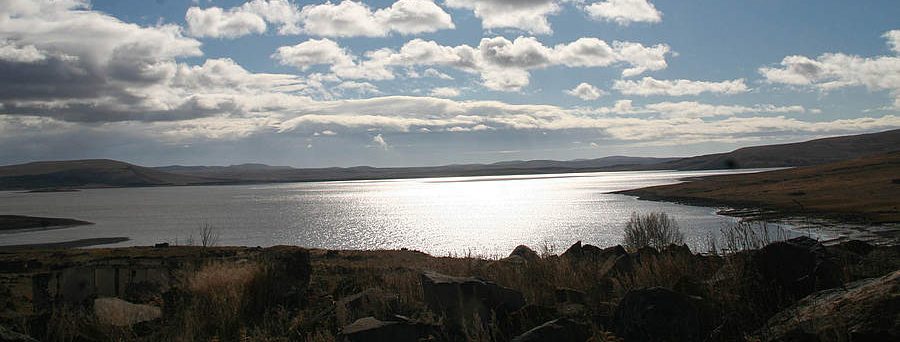 Արփի լիճը չի ցամաքել․ Ջրային կոմիտե