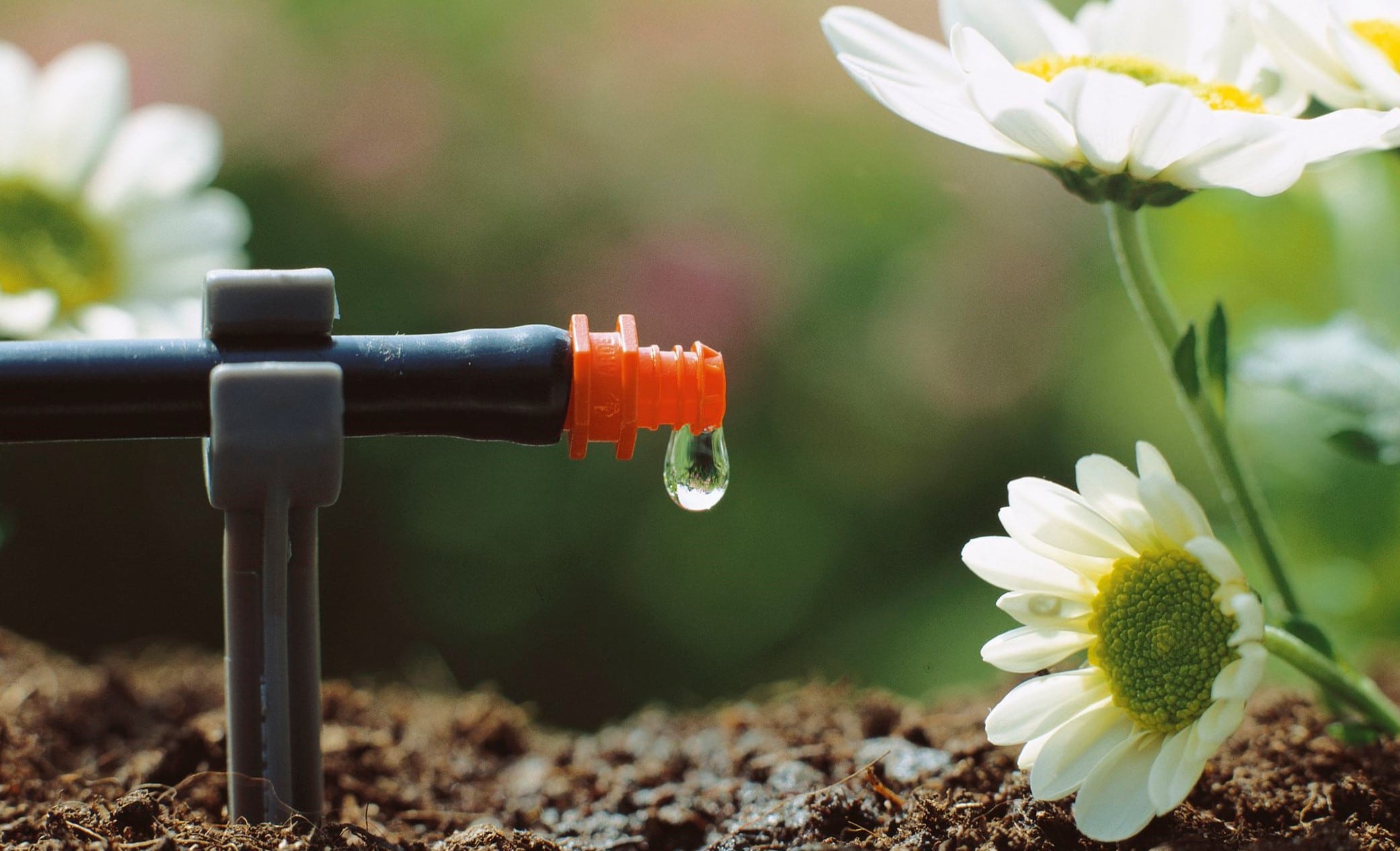 Շրջակա միջավայրի նախարարության անտառային կոմիտեին հատկացվեց 6 մլն դրամ