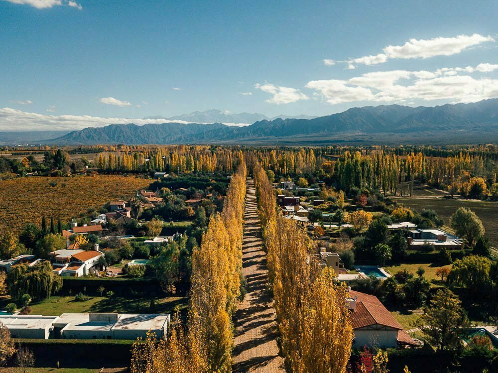 Շատ են նմանությունները Արգենտինայի Մենդոզա նահանգի և Վայոց ձորի մարզի միջև․ ՀԲՃ