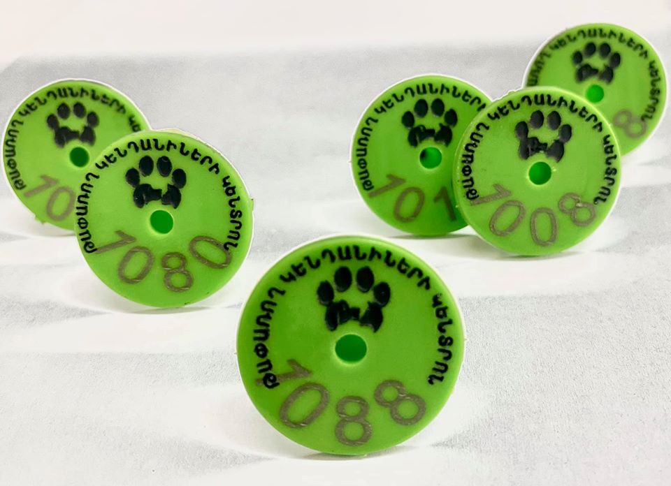 Ստերջացված թափառող շները նոր տարբերանշաններ կկրեն