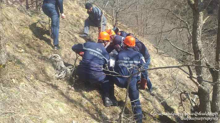 Գորիսի սարերից մեկի վրա դի է հայտնաբերվել