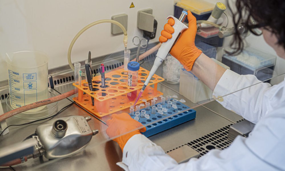 Համաշխարհային համաճարակի մասին տասը դրական նորություն