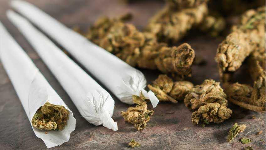 Մեքսիկայում 15.4 տոննա ապօրինի մարիխուանա է հայտնաբերվել