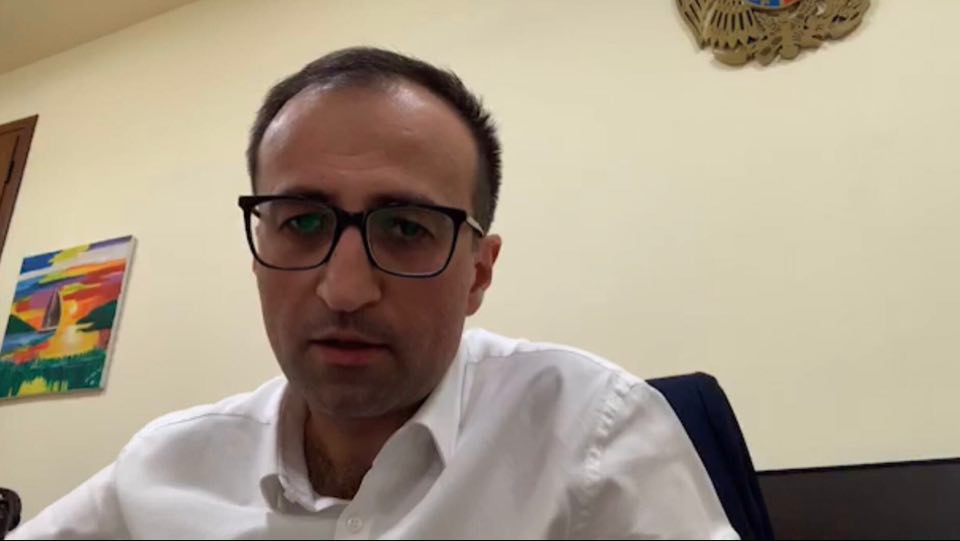 Կորոնավիրուսի դեպք է գրանցվել 2 ամսեկան երեխայի մոտ. Արսեն Թորոսյան (ՏԵՍԱՆՅՈւԹ)