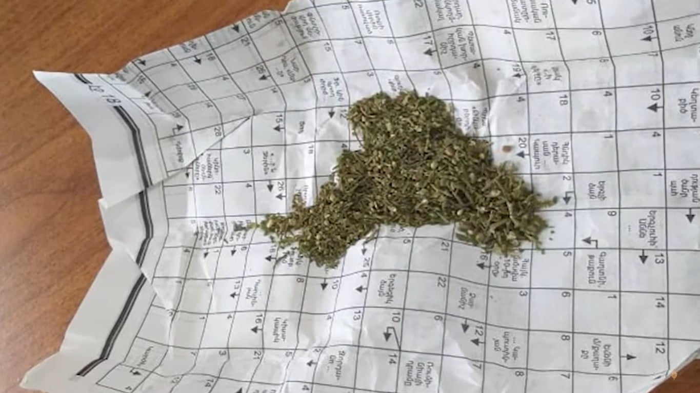 Սպիտակում բացահայտվել է ապօրինի թմրաշրջանառության դեպք (ՏԵՍԱՆՅՈւԹ)