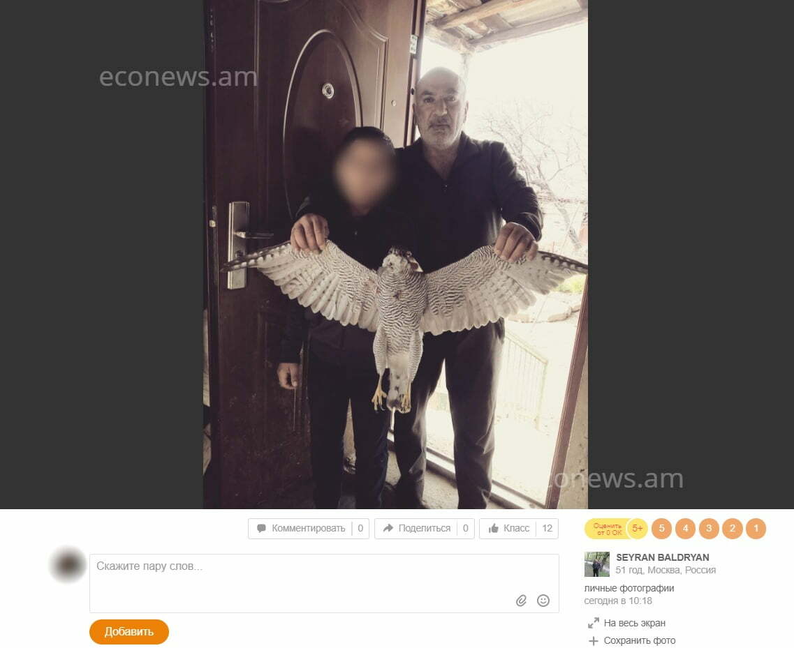 Ապօրինի կերպով որսացել են կարմիրգրքյան թռչնի