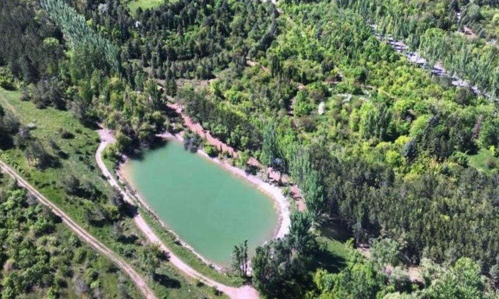 Թուրքիան պետք է դադարեցնի Կիպրոսի սուվերեն իրավունքների դեմ ապօրինի գործողությունները