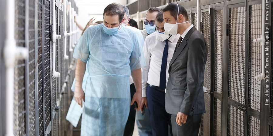 Մարությանը եղել է «Թափառող կենդանիների վնասազերծման» ՀՈԱԿ-ի նոր շենքում