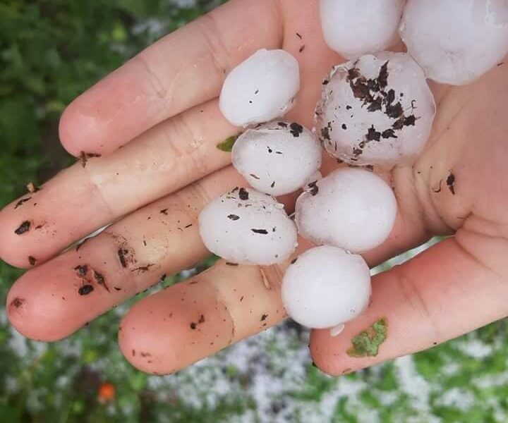 Տեղ համայնքում կարկուտը մեծ վնասներ է հասցրել (ԼՈւՍԱՆԿԱՐՆԵՐ)