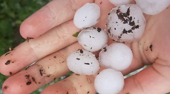 Տեղ համայնքում կարկուտը մեծ վնասներ է հասցրել (ԼՈւՍԱՆԿԱՐՆԵՐ)