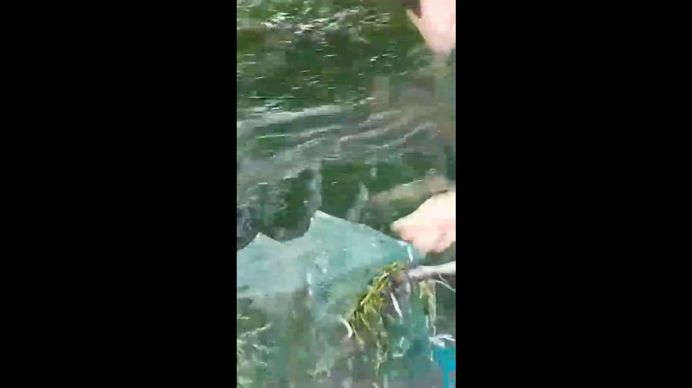 «Սևան» ազգային պարկը դիմել է ոստիկանություն՝ ձկնագողության դեպքով (ՏԵՍԱՆՅՈւԹ)