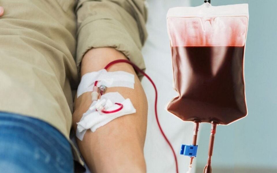 0355ed5610014349b3867b61223a9d99500x500@2x