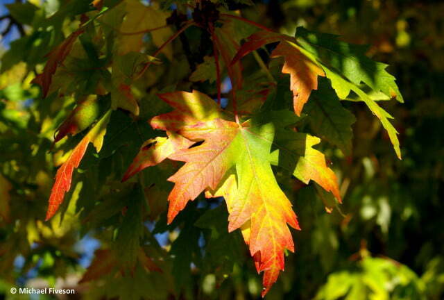 Եղանակը Հայաստանում և Արցախում