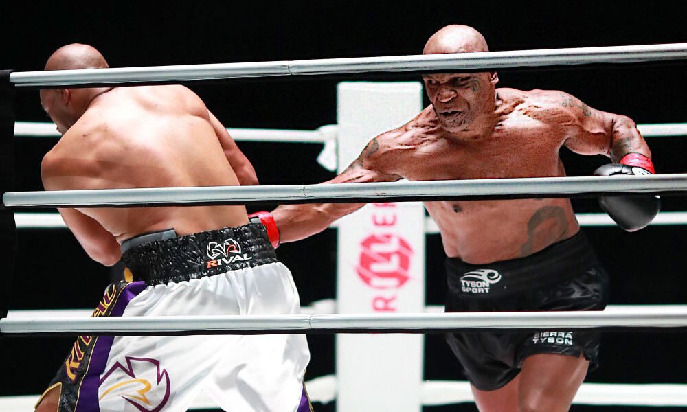 Այսօր կատուների համաշխարհային օրն է