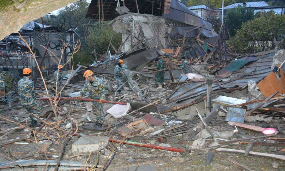 Փրկարարները շահմար տեսակի օձ են բռնել