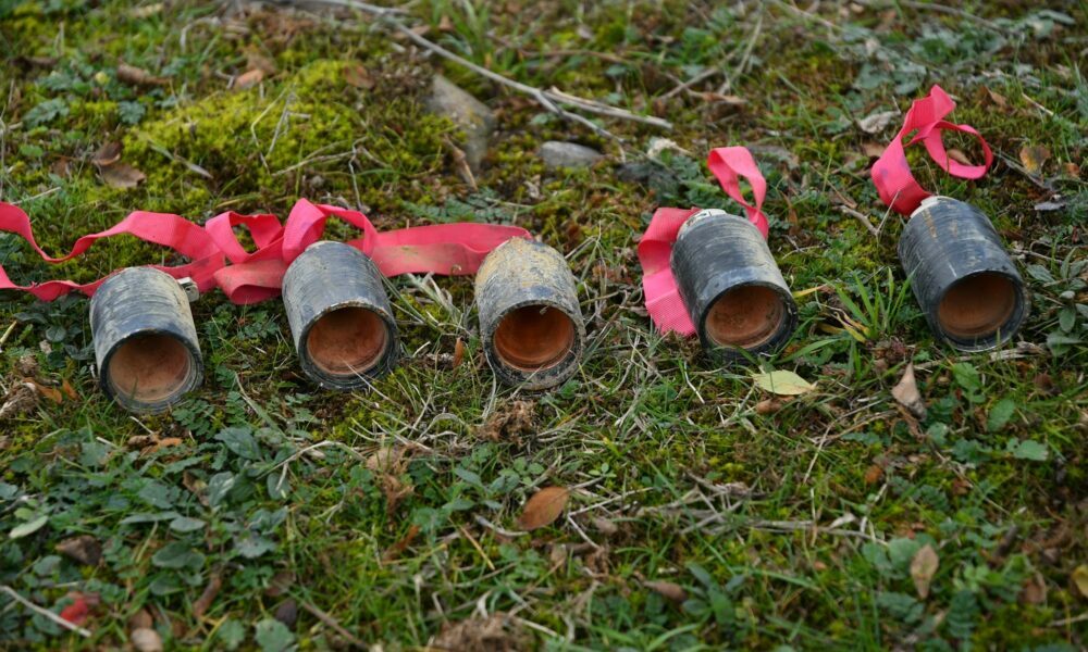 Մանջուկիչը կարող է լքել Յուվենտուսը