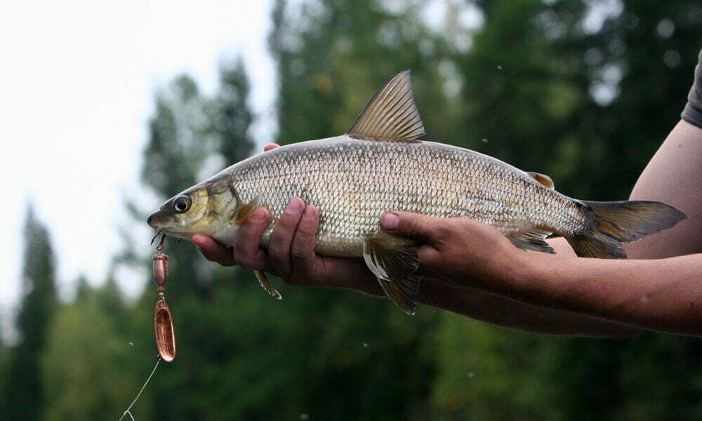 Masters 1000. Հայազգի Խաչանովը կամային հաղթանակ տարավ