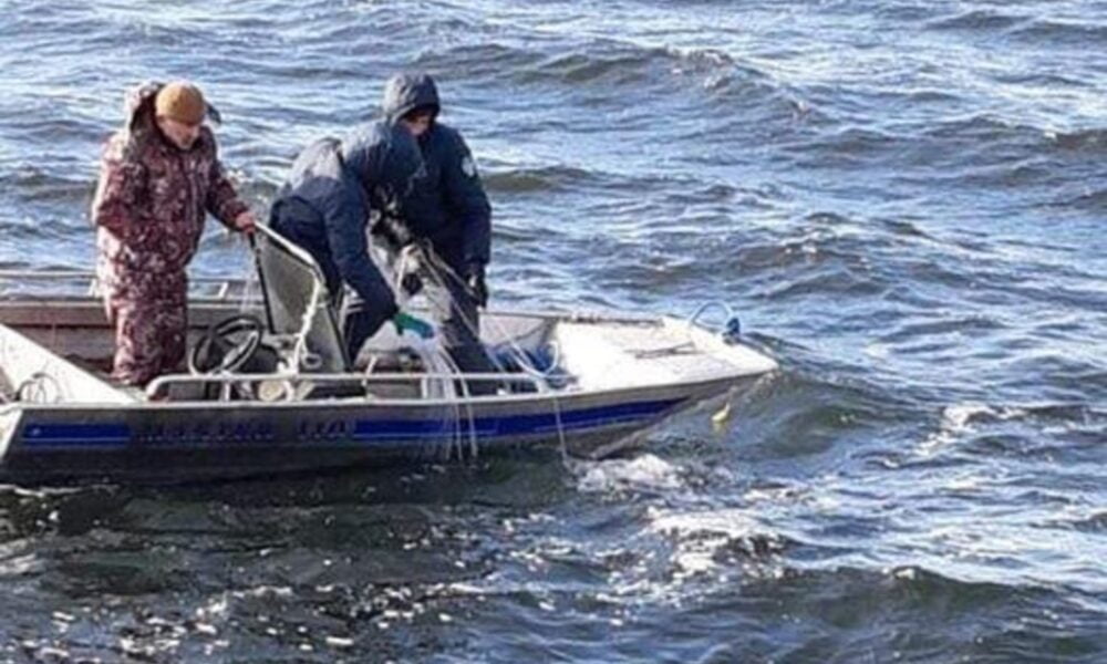 Ինչպես են ցրել բողոքի ցույցը Մոսկվայի կենտրոնում (ՖՈՏՈՇԱՐՔ)