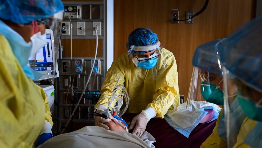 Կանադայում կորոնավիրուսի նոր շտամ է հայտնաբերվել