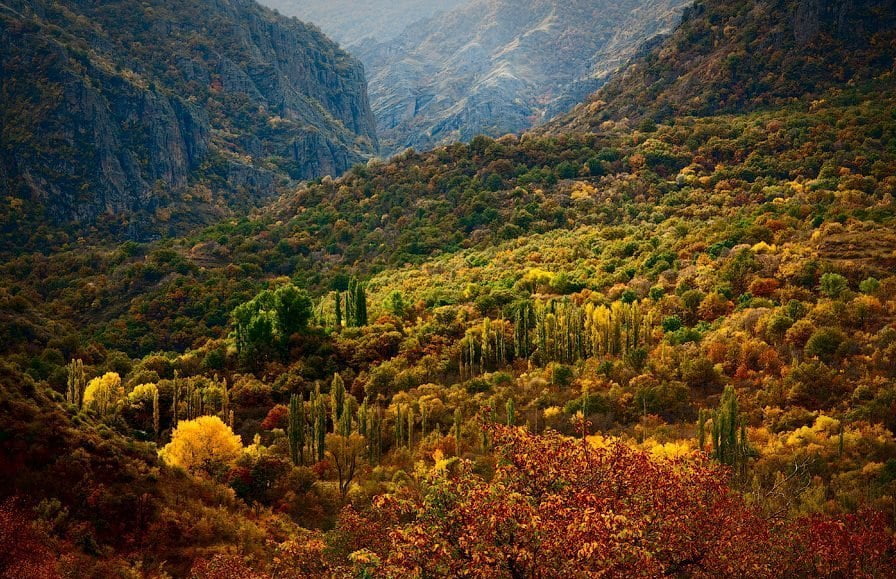 Շրջակա միջավայրին հասցվել է 3,7 միլիոն դրամի վնաս․ հաշվետվություն (ՏԵՍԱՆՅՈւԹ)