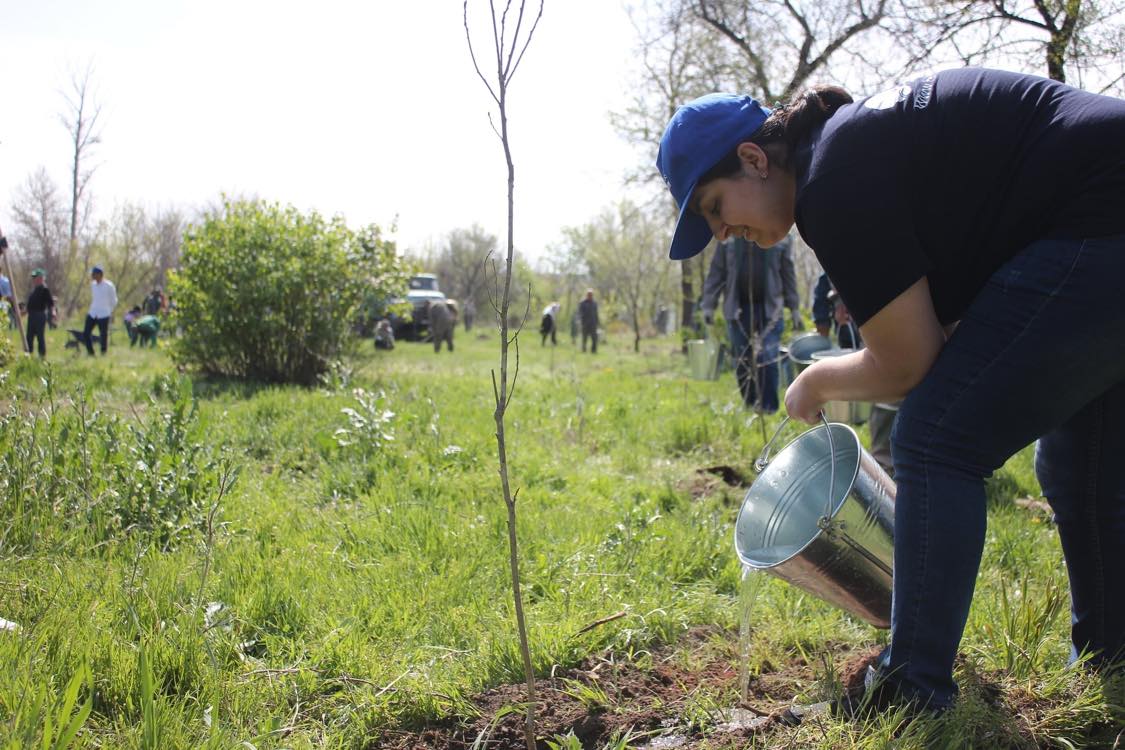 Երևանի քաղաքապետարանը ապրիլի 25-ին հրավիրում է ծառատունկի