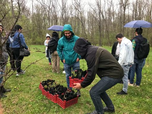ԱՄՆ դեսպանության ներկայացուցիչները Դիլիջան ազգային պարկում ծառատունկ են արել