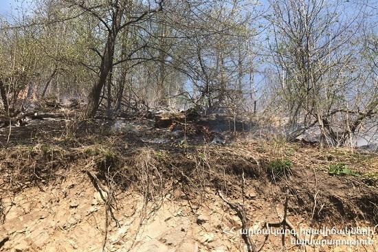 Փամբակ գյուղի մոտակա անտառում այրվել է մոտ 10 հա խոտածածկույթ